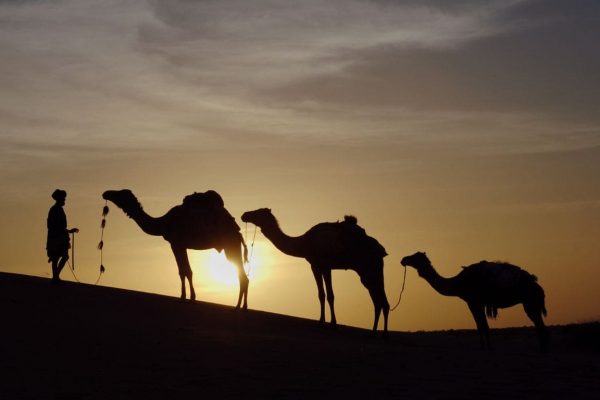 3 days desert tour from Marrakech to Merzouga Desert